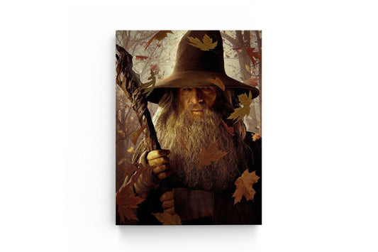 Tablou Gandalf